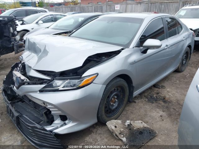 4T1B31HK1JU507944 Toyota CAMRY LE