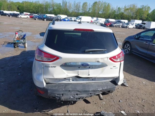 1FMCU0GX3EUE30332 Ford Escape