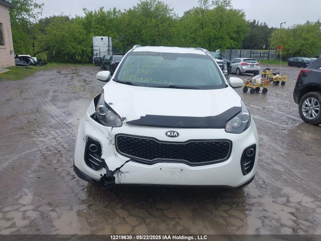KIA gdi theta ii 2019 KNDPMCAC4K7493740 Image 12