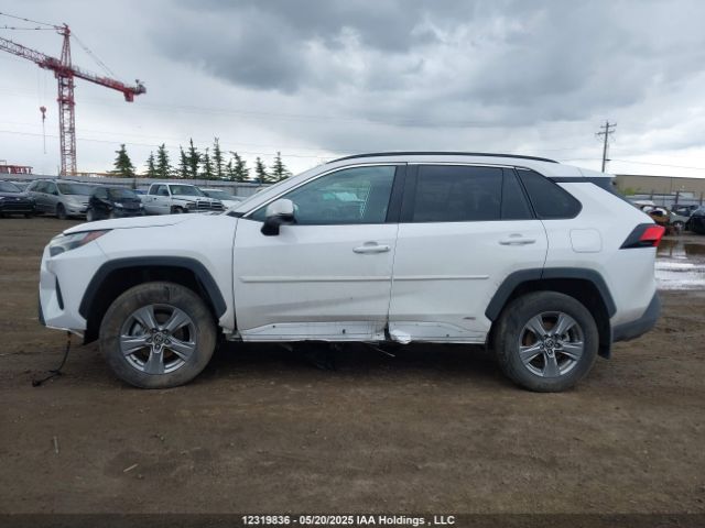 2T3RWRFV8RW230794 Toyota Rav4 Xle/woodland Edition