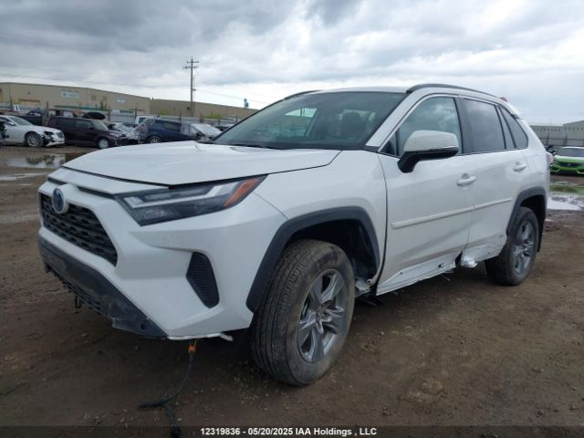2T3RWRFV8RW230794 Toyota Rav4 Xle/woodland Edition
