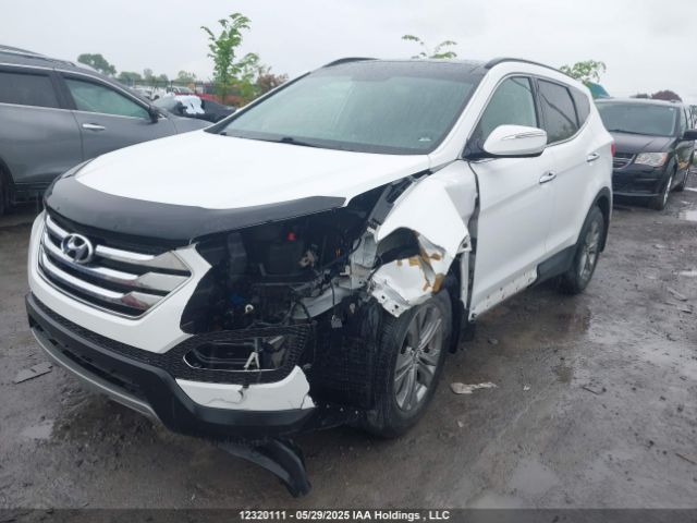 5XYZUDLB9EG154918 Hyundai SANTA FE SPORT
