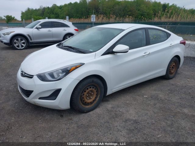 5NPDH4AE8GH759942 Hyundai Elantra Se/sport/limited