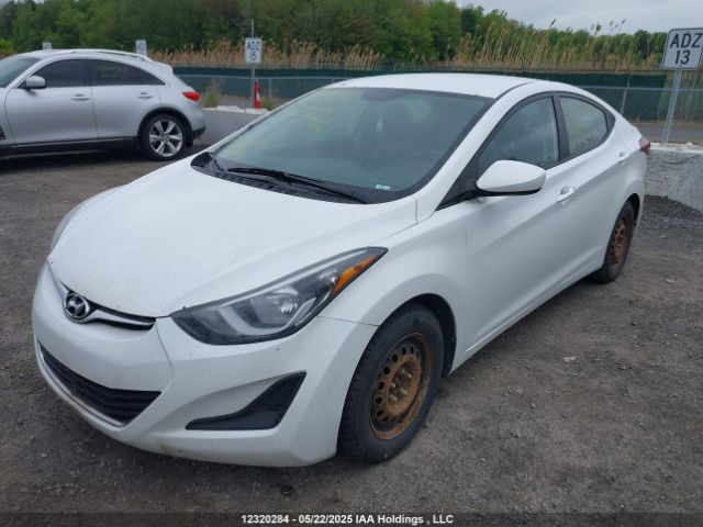 5NPDH4AE8GH759942 Hyundai Elantra Se/sport/limited