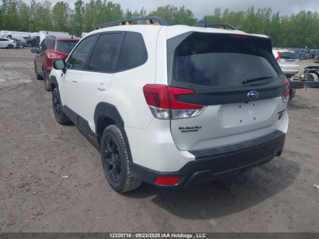 JF2SKEHC5RH436096 Subaru Forester Sport/wilderness