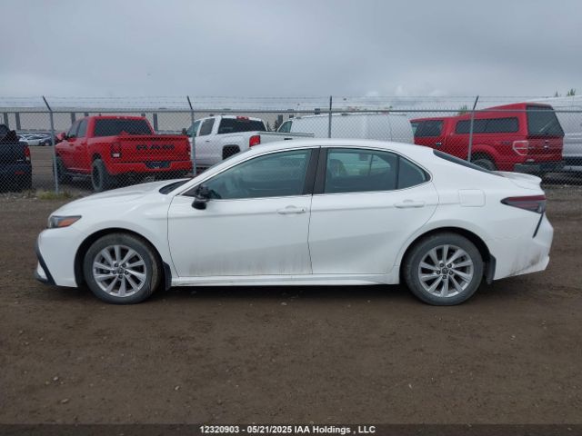 4T1G11AK7MU593514 Toyota CAMRY SE