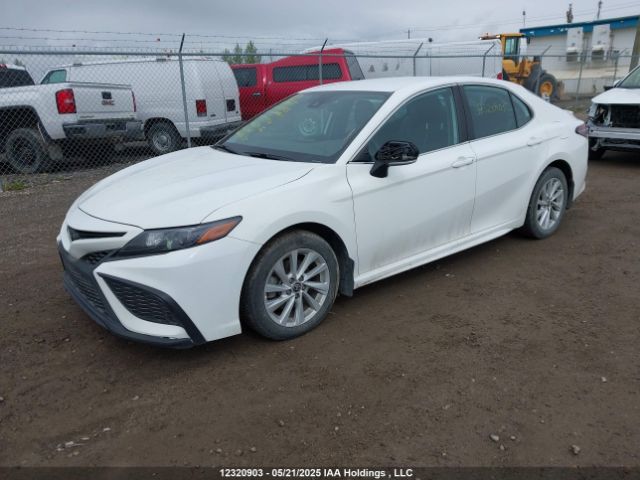 4T1G11AK7MU593514 Toyota CAMRY SE