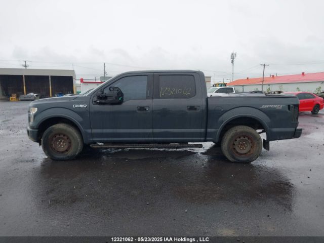 1FTEW1EF1GFD43897 Ford F-150