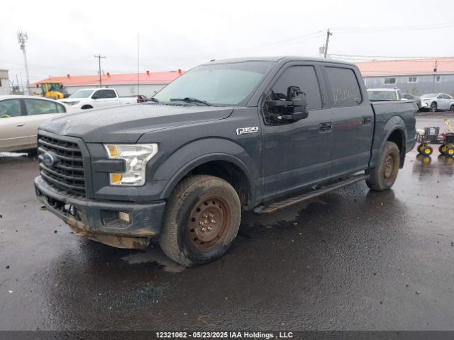 1FTEW1EF1GFD43897 Ford F-150