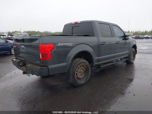 1FTEW1EF1GFD43897 Ford F-150