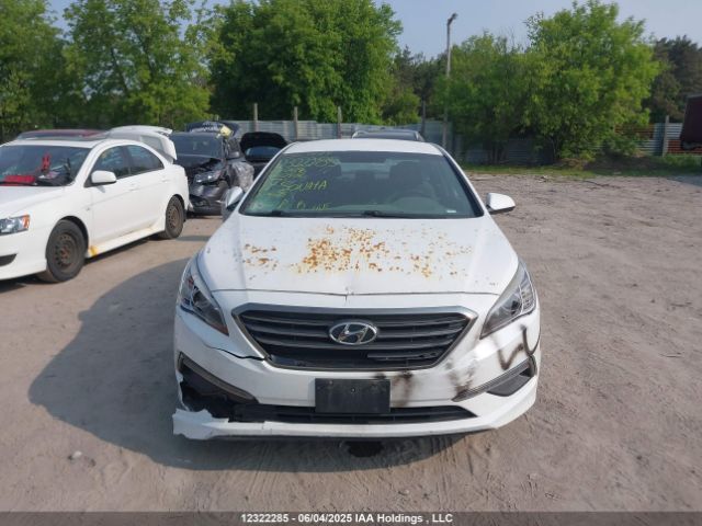 5NPE24AF5HH459596 Hyundai SONATA SE