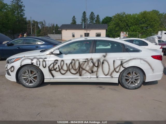 5NPE24AF5HH459596 Hyundai SONATA SE