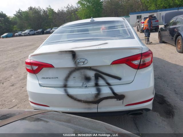 5NPE24AF5HH459596 Hyundai SONATA SE