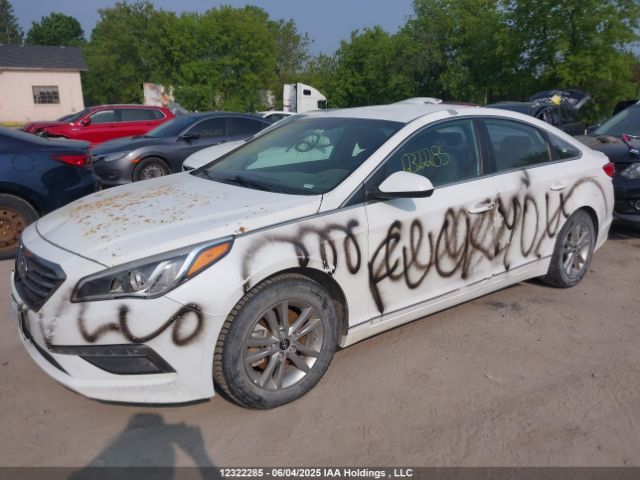5NPE24AF5HH459596 Hyundai SONATA SE