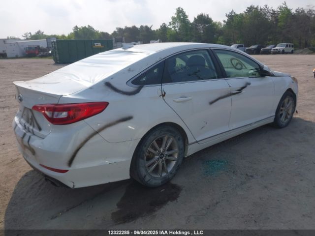 5NPE24AF5HH459596 Hyundai SONATA SE