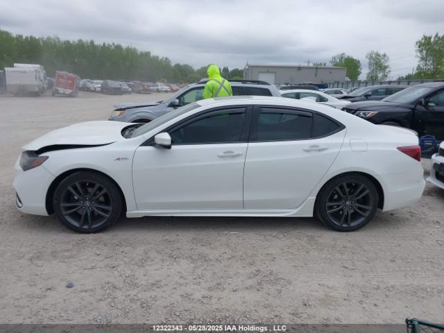 19UUB3F86JA800339 Acura TLX