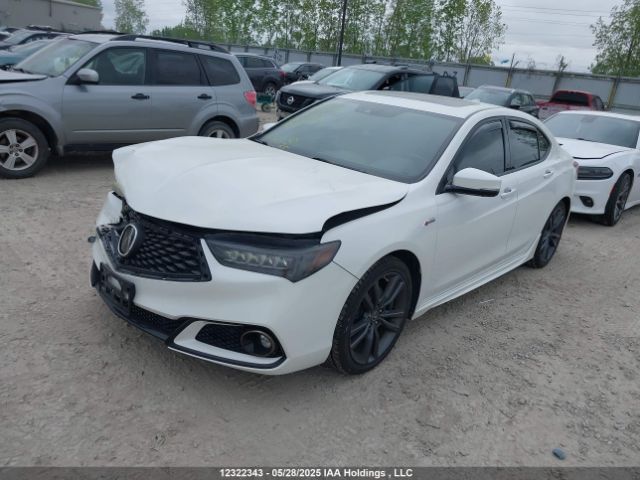 19UUB3F86JA800339 Acura TLX