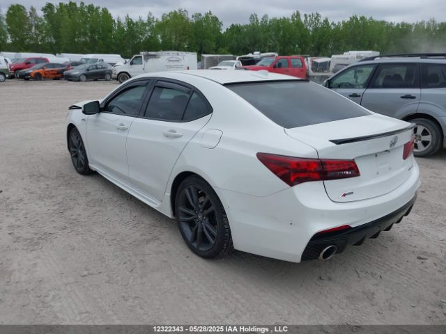 19UUB3F86JA800339 Acura TLX