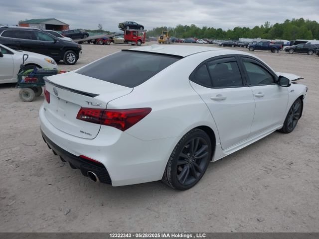 19UUB3F86JA800339 Acura TLX
