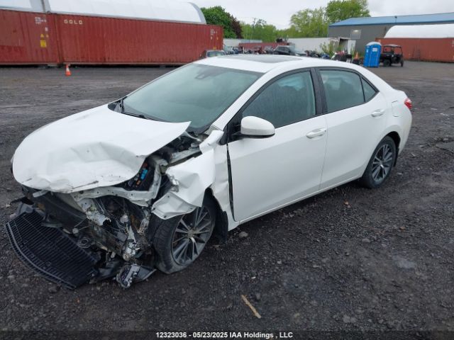 2T1BURHE1HC813611 Toyota Corolla L/le/xle/se/xse
