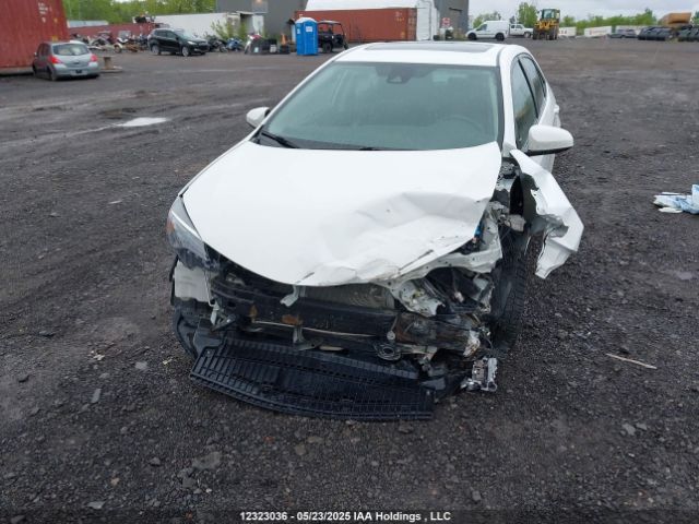 2T1BURHE1HC813611 Toyota Corolla L/le/xle/se/xse