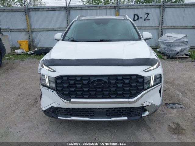 KM8S3DA17NU054583 Hyundai t-gdi gamma-ii