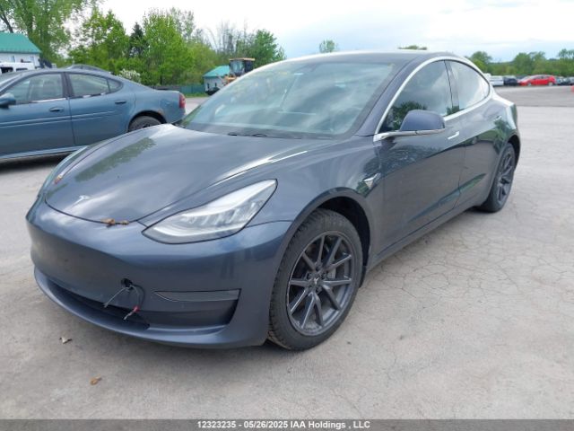 5YJ3E1EA7KF403242 Tesla MODEL 3