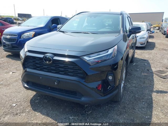 2T3R1RFV1PC334556 Toyota RAV4