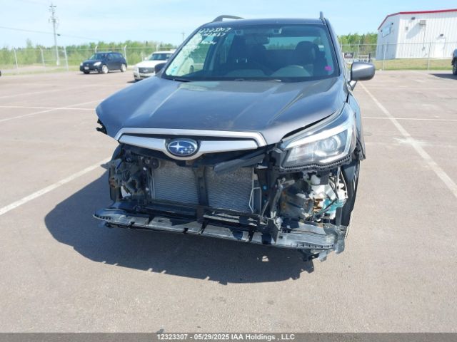 JF2SKEDC0LH423687 Subaru Forester