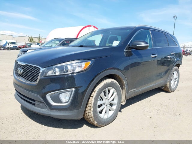 5XYPGDA5XHG209196 KIA 2017