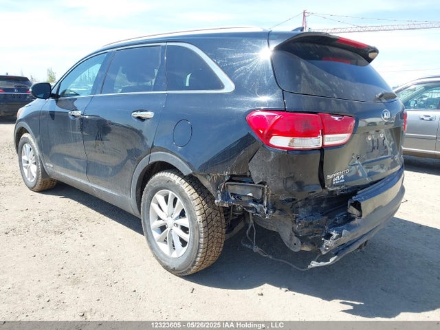 5XYPGDA5XHG209196 KIA 2017