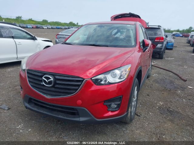 JM3KE2CY7G0678074 Mazda py