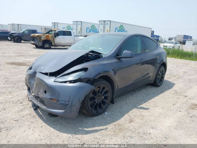 7SAYGDEE6PF771961 Tesla Model Y