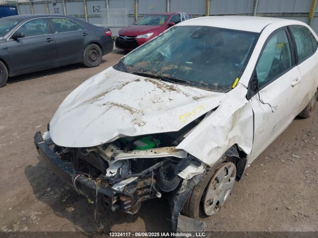 2T1BURHE5HC810047 Toyota Corolla L/le/xle/se/xse