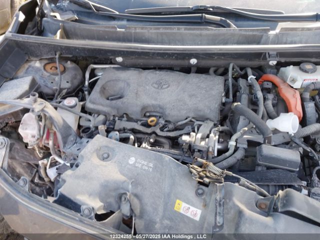 2T3RWRFV2KW013490 Toyota Rav4 Hybrid Xle