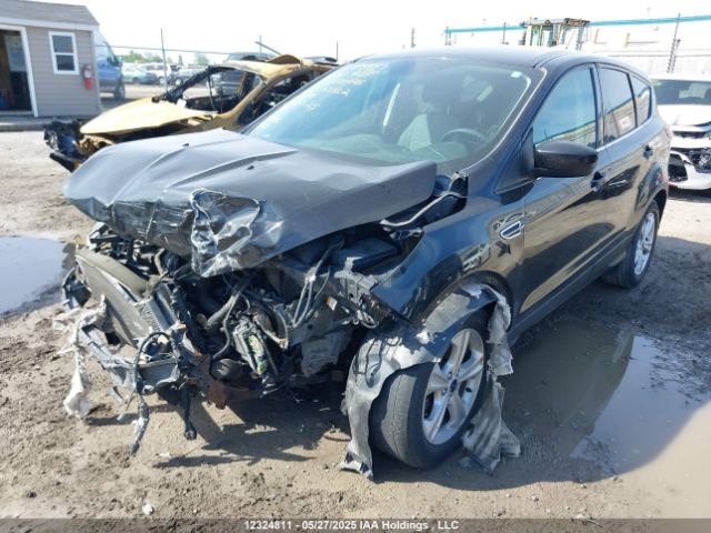 1FMCU0GX2FUC37722 Ford Escape