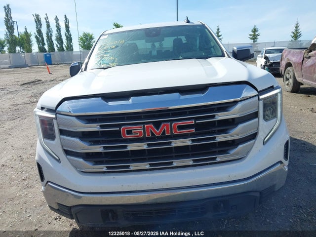 1GTUUBE80PZ208496 GMC lz0