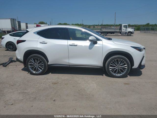 2T2GKCEZ1PC012915 Lexus Nx 350h 350h