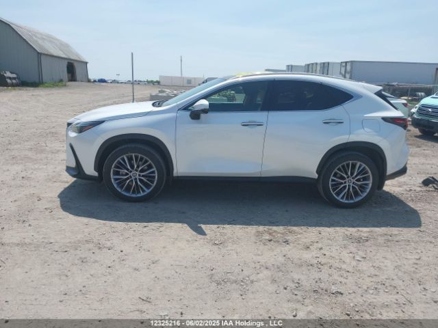 2T2GKCEZ1PC012915 Lexus Nx 350h 350h