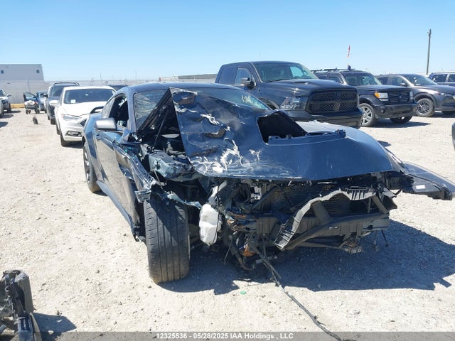 1FA6P8R03R5506287 Ford Mustang Dark Horse