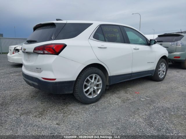 3GNAXUEG3PS207070 Chevrolet lsd