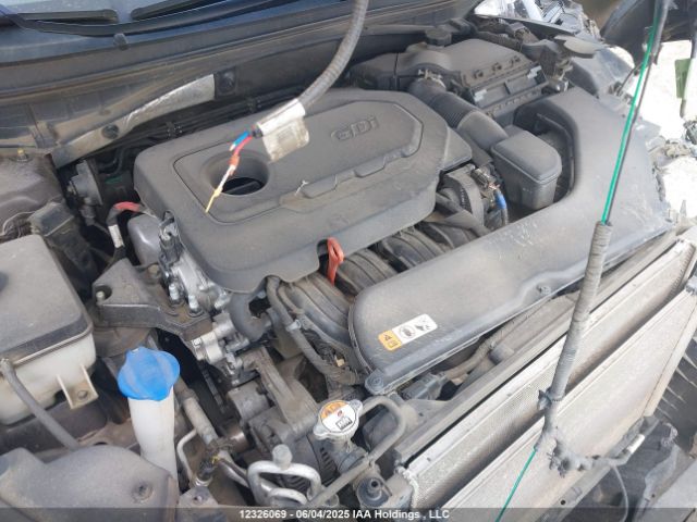 5NPE24AF1HH488688 Hyundai 2017