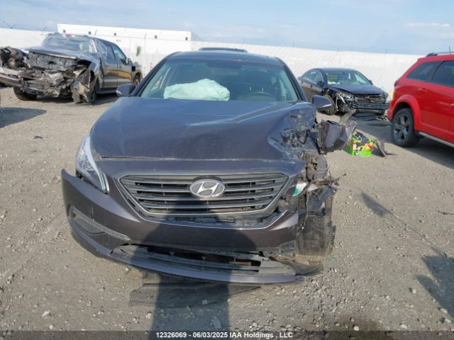 5NPE24AF1HH488688 Hyundai 2017