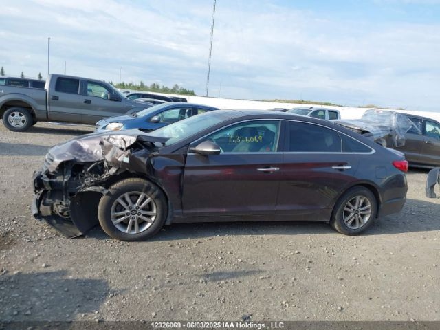5NPE24AF1HH488688 Hyundai 2017