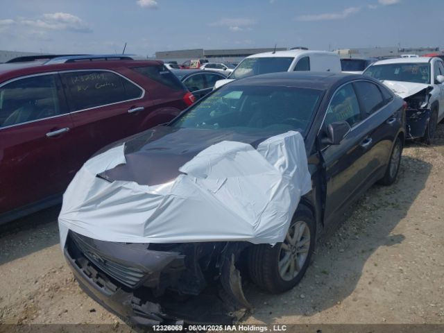 5NPE24AF1HH488688 Hyundai 2017