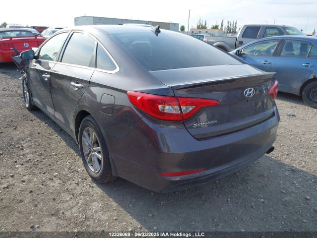 5NPE24AF1HH488688 Hyundai 2017