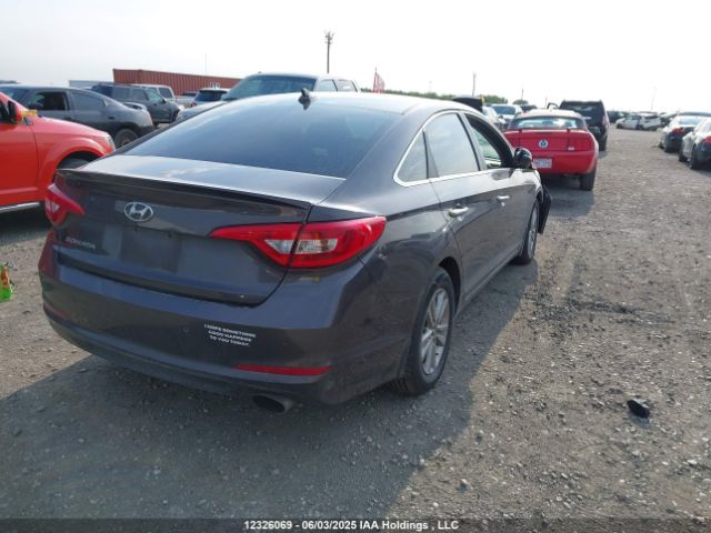 5NPE24AF1HH488688 Hyundai 2017