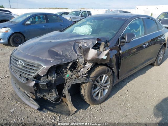 5NPE24AF1HH488688 Hyundai 2017