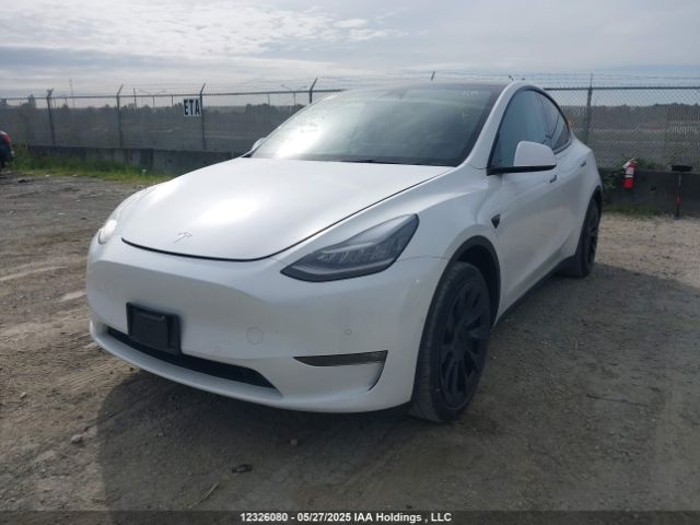 5YJYGDED9MF181432 Tesla Model Y