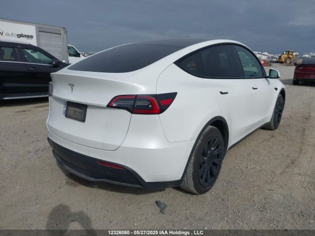 5YJYGDED9MF181432 Tesla Model Y